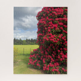 Puzzle Rododendro y vista panorámica en Escocia