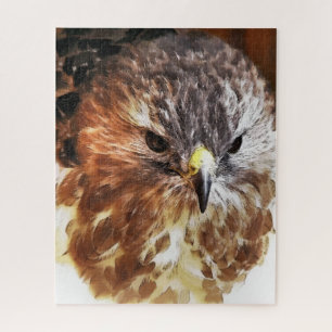 PUZZLE ROJO TAILED HAWK
