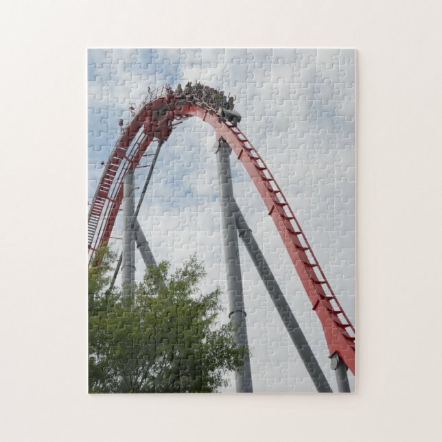 Puzzle Roller Coaster Ride (Vertical)