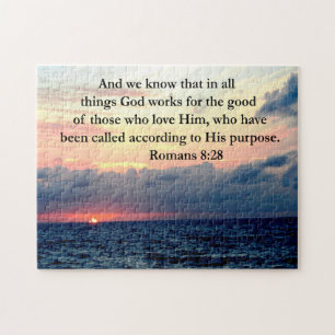 PUZZLE ROMANS 8:28 FE
