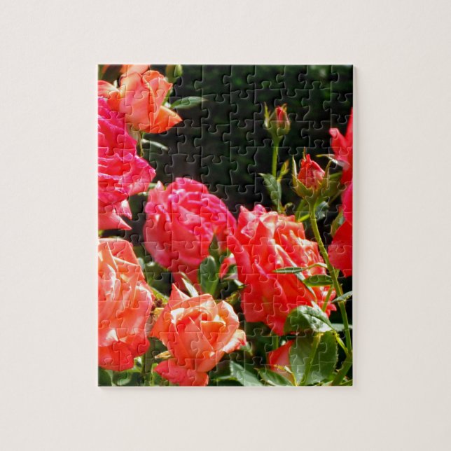 Puzzle Romantic Coral Roses (Vertical)