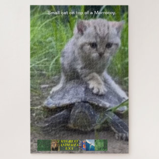 Puzzle Rompe al gato pequeño encima de un Morrocoy.