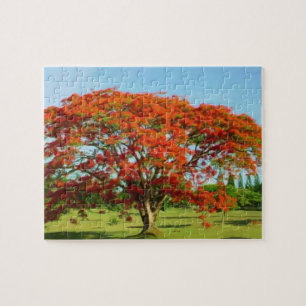 Puzzle Rompecabeza Flamboyán/Real Poinciana