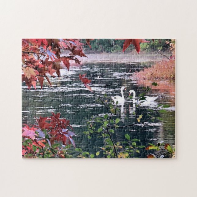 Puzzle Rompecabezas: cisnes en el estanque de Jenney (Horizontal)