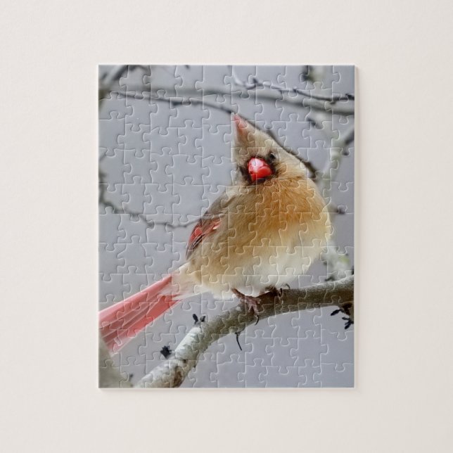 Puzzle rompecabezas_de_cardinal_hembra (Vertical)