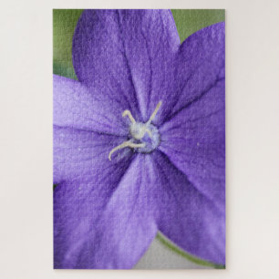 Puzzle "Rompecabezas de Petal púrpura - Serenidad en cada