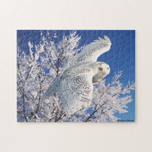 Puzzle "Rompecabezas del búho Nevado"