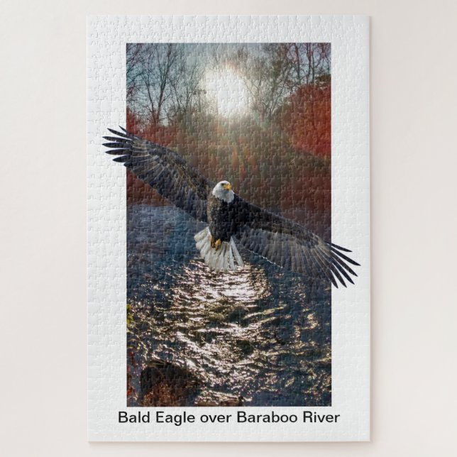 Puzzle Rompecabezas, Eagle calvo sobre el río de Baraboo (Vertical)