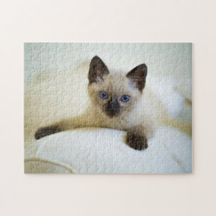 Puzzle Rompecabezas-Gatito