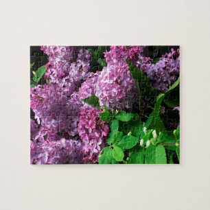 Puzzle Rompecabezas:  LILAS