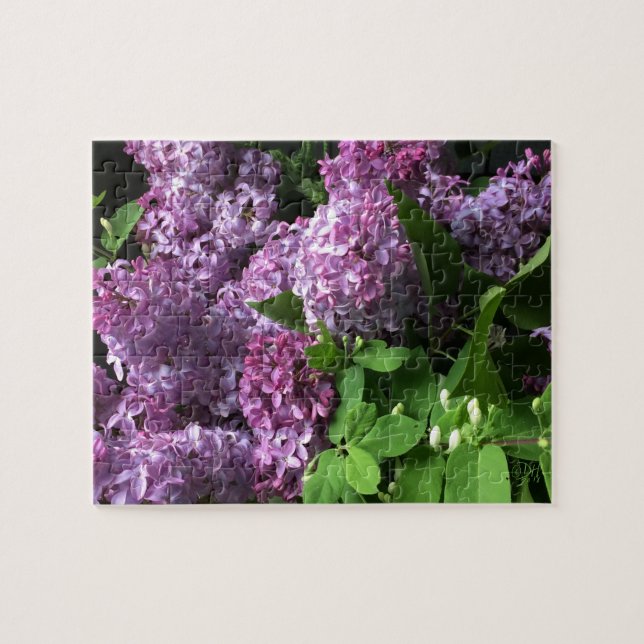 Puzzle Rompecabezas:  LILAS (Horizontal)