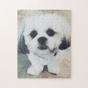 Puzzle ¡Rompecabezas lindo del perrito de Shih Tzu - GRA