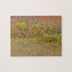 Puzzle rompecabezas, "PAISAJE DE COLOR DE CAÍDA"