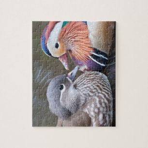 Puzzle Rompecabezas: Patos de mandarín