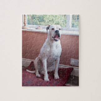 Puzzle Rompecabezas: Perro blanco del boxeador