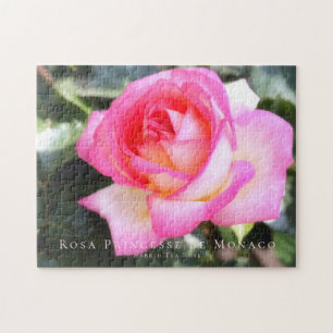 Puzzle Rompecabezas: Rosa Princesse de Monaco (252 piezas