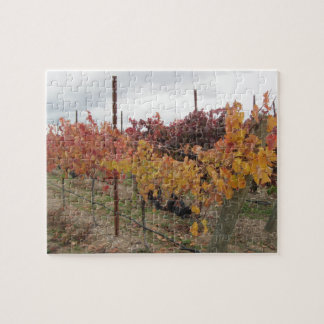 Puzzle Rompecabezas: Viñedo de California antes de la
