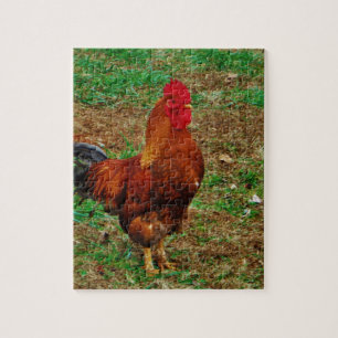 Puzzle Rooster