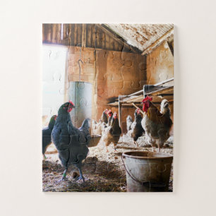 Puzzle Rooster and Hens inside of Barn