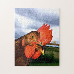 Puzzle Rooster de Rhode Island