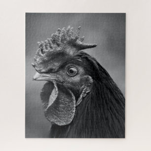 Puzzle Rooster negro y blanco