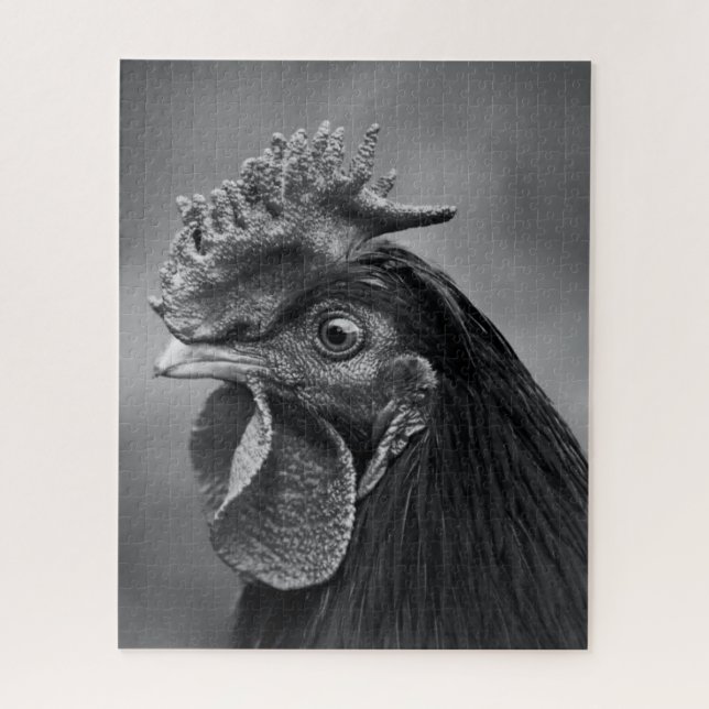 Puzzle Rooster negro y blanco (Vertical)