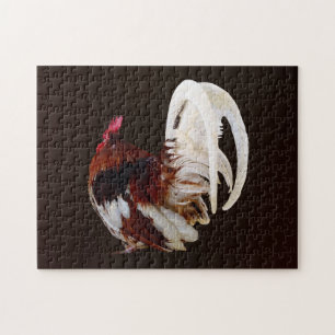 Puzzle Rooster Rojo Con Plumas De Cola Blanca