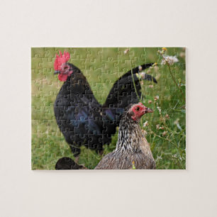 Puzzle Rooster y Hen