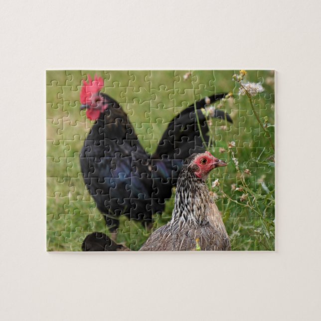 Puzzle Rooster y Hen (Horizontal)