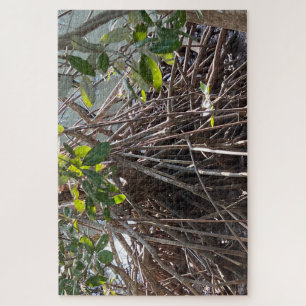 Puzzle Roots Alaminos Mangrove