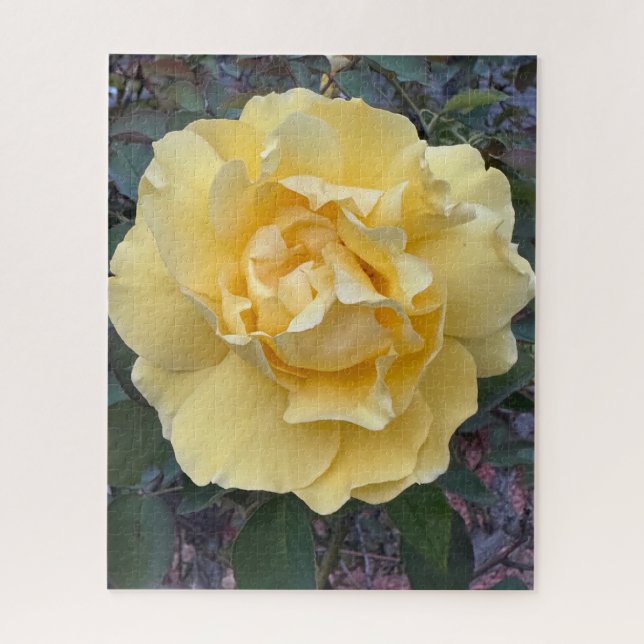 Puzzle Rosa Amarilla, Oakland (Vertical)