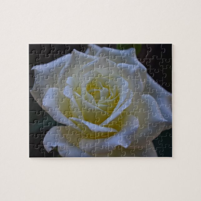 Puzzle Rosa blanco en la oscuridad (Horizontal)