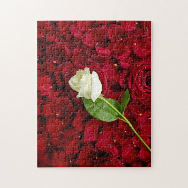 Puzzle Rosa blanco en los pétalos rojos (Vertical)