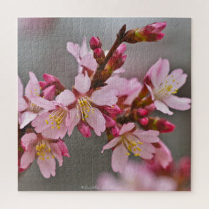 Puzzle Rosa Contra Un Cielo Gris Flor De Cerezo Japonesa