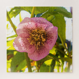 Puzzle Rosa de Cuaresma. Helleborus. ¡Eres amado!