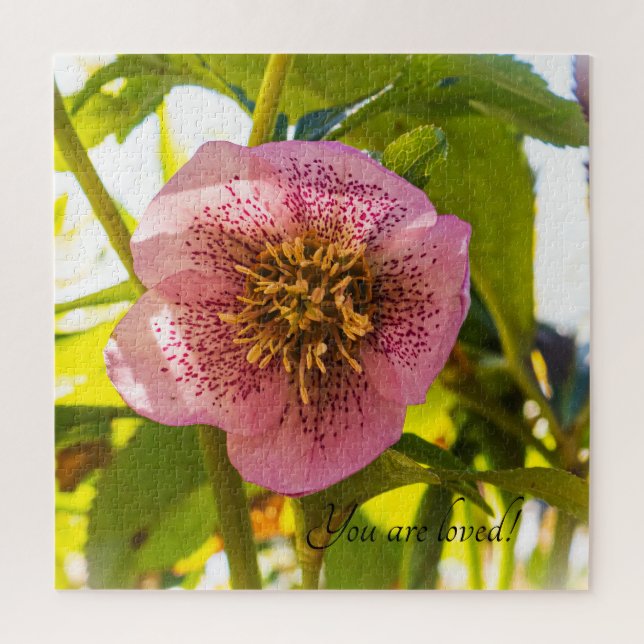 Puzzle Rosa de Cuaresma. Helleborus. ¡Eres amado! (Vertical)