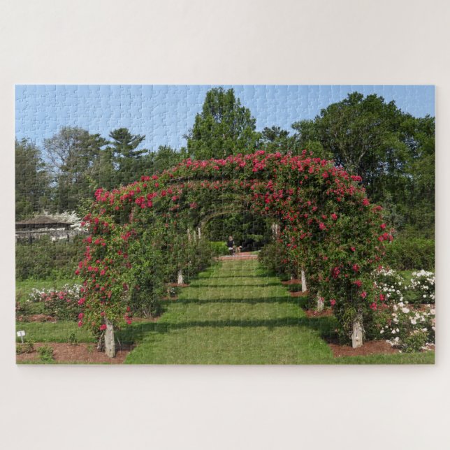 Puzzle Rosa de escalada Arch Elizabeth Park Garden Hartfo (Horizontal)