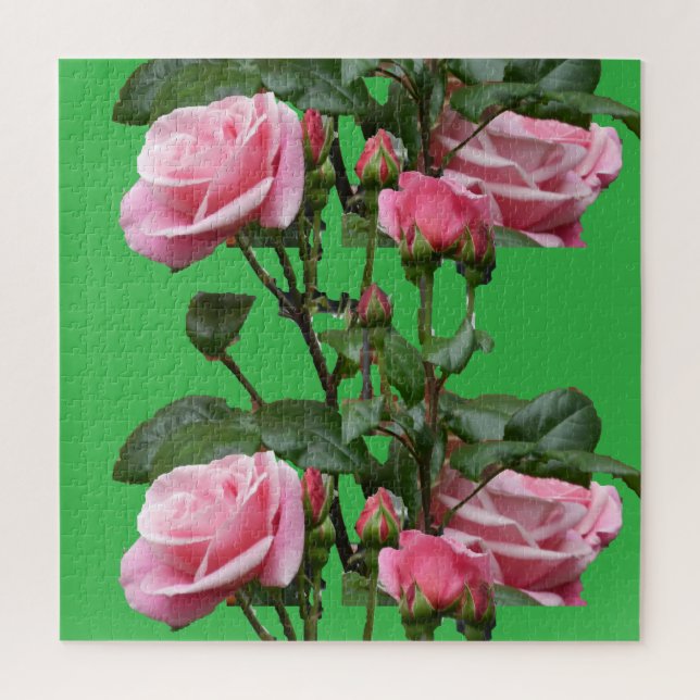 Puzzle Rosa DE INGLÉS ROSA (Vertical)