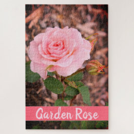 Puzzle Rosa de jardín rosado