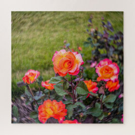 Puzzle Rosa de Mardi Gras con un giro