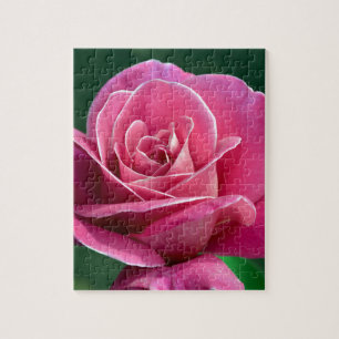 Puzzle Rosa de té híbrido rosa
