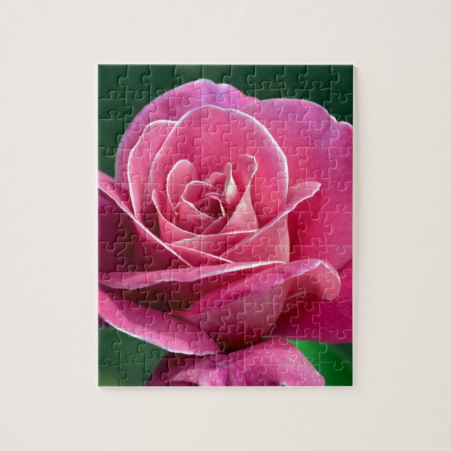 Puzzle Rosa de té híbrido rosa (Vertical)