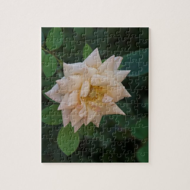 Puzzle Rosa de vainilla (Vertical)