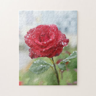 Puzzle Rosa en gotas de lluvia