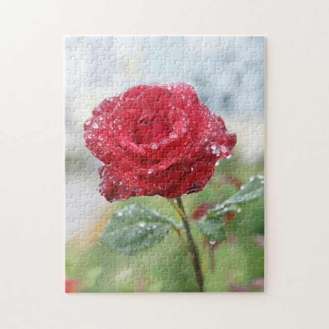 Puzzle Rosa en gotas de lluvia  (Vertical)