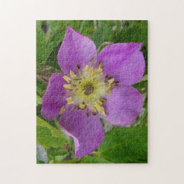 Puzzle Rosa Espinosa de Alberta F13 Rosa Silvestre