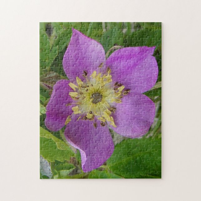 Puzzle Rosa Espinosa de Alberta F13 Rosa Silvestre (Vertical)
