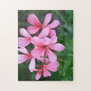 Puzzle rosa, florecer, flor, jardín, verano, floral, natu