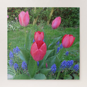 Puzzle rosa,fondo, flor, flor, naturaleza, verano,