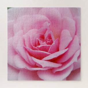 Puzzle Rosa  Fotografía de clausura